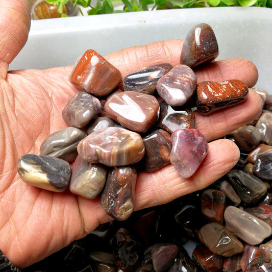 Wood Fossil Silicified Wood Original Crushed Stone Tree Jade 20 30 Mm