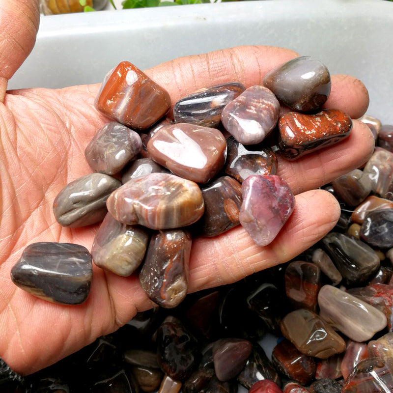 Wood Fossil Silicified Wood Original Crushed Stone Tree Jade 20 30 Mm