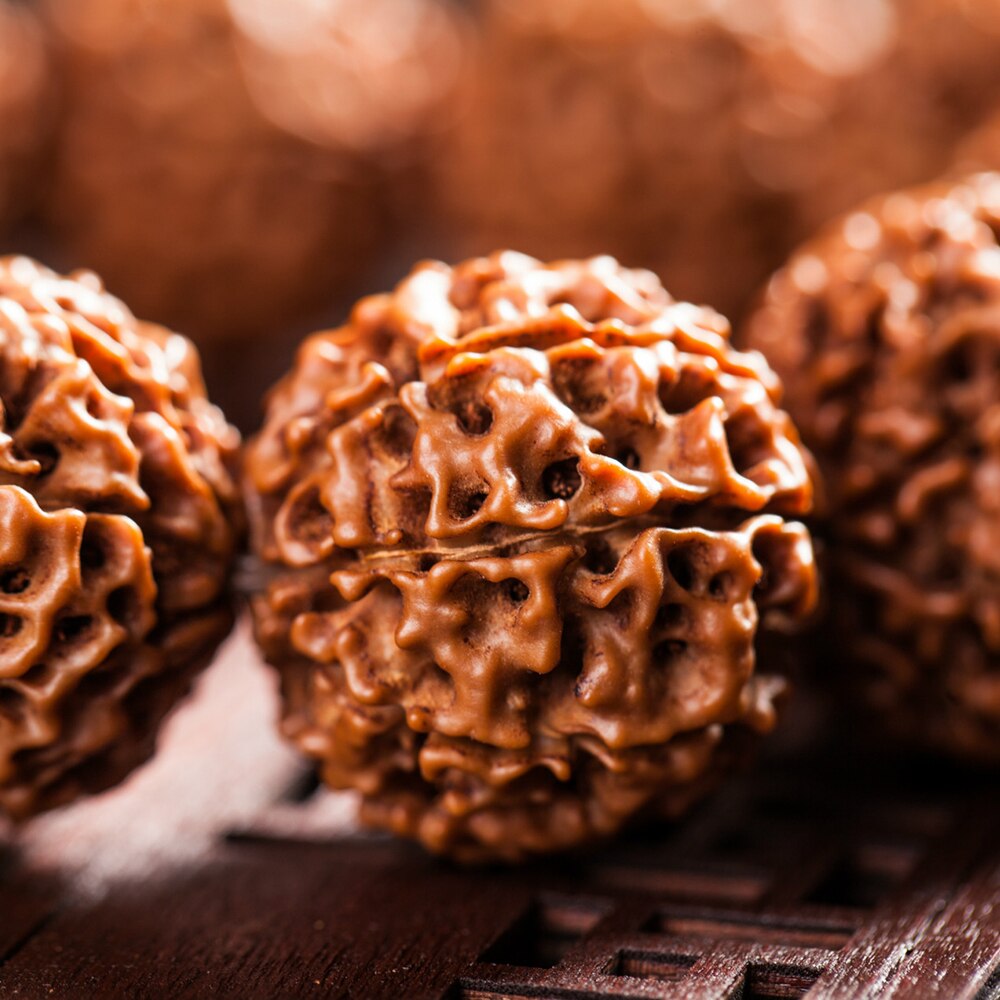 Fashion Rudraksha Beads Bracelets for Women Nature