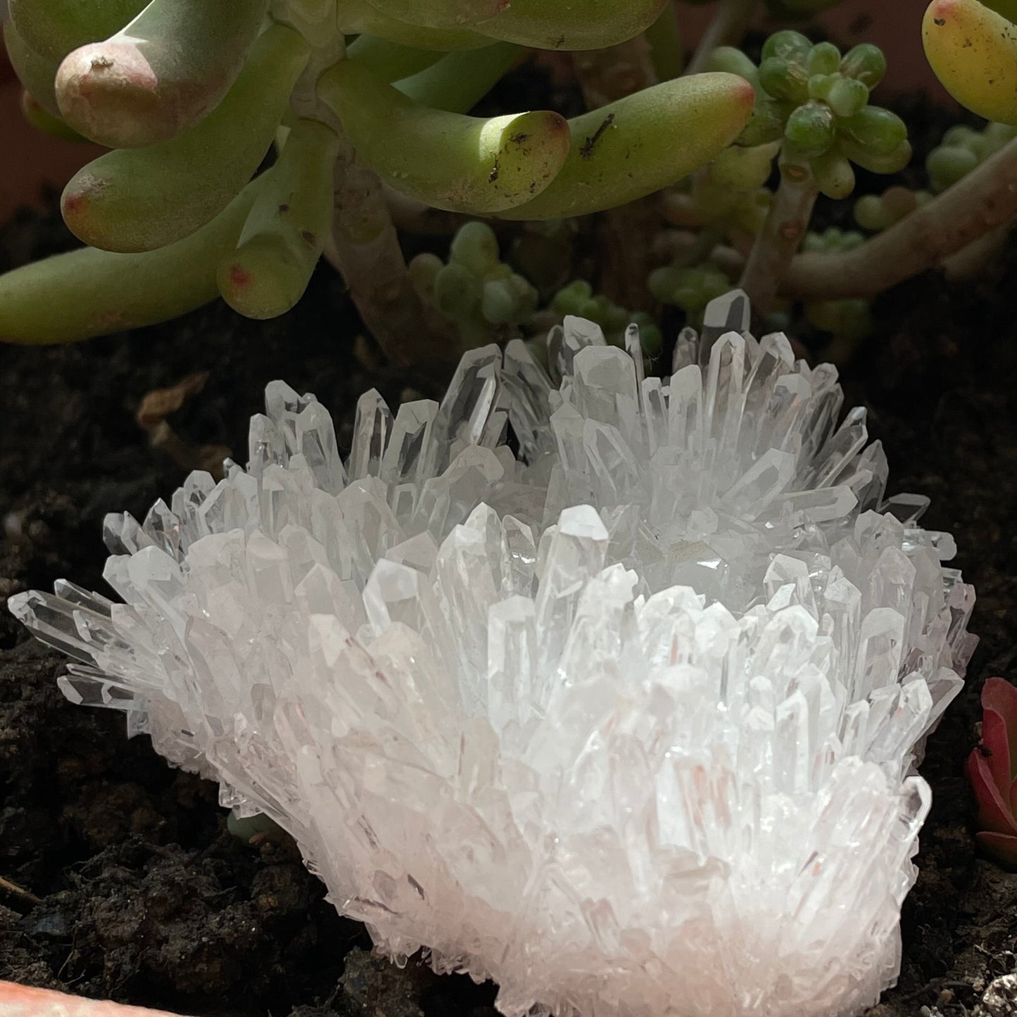 Natural Clear Quartz Crystal Cluster Minerals