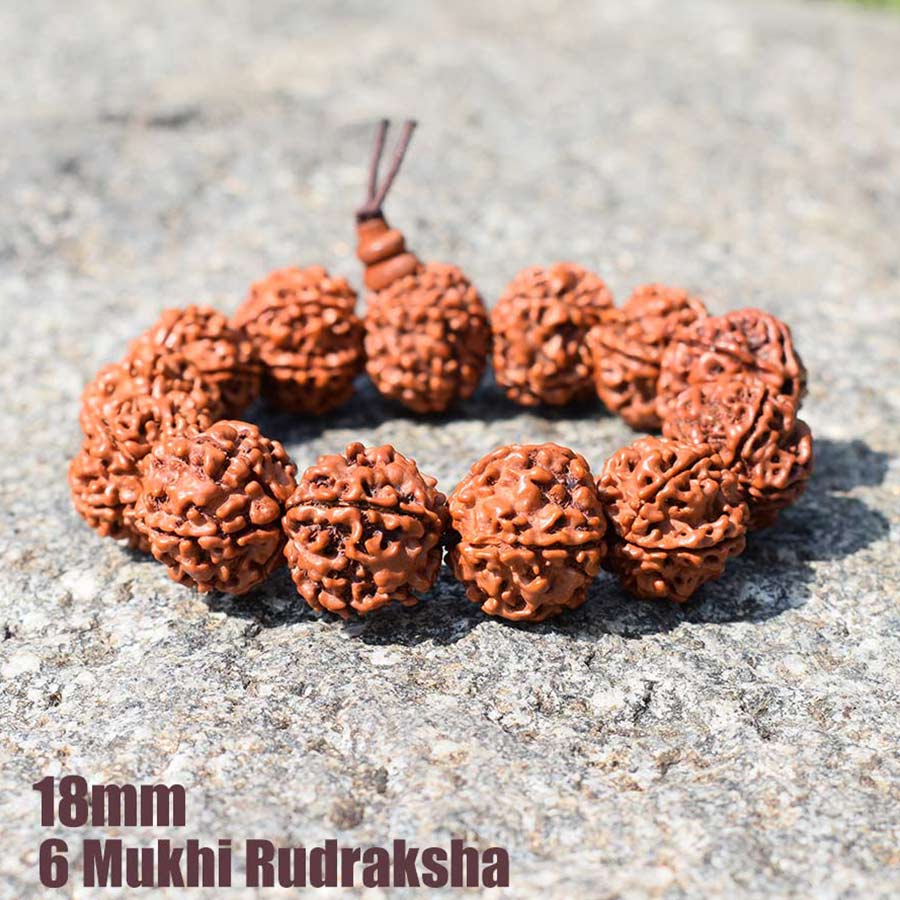 Fashion Rudraksha Beads Bracelets for Women Nature