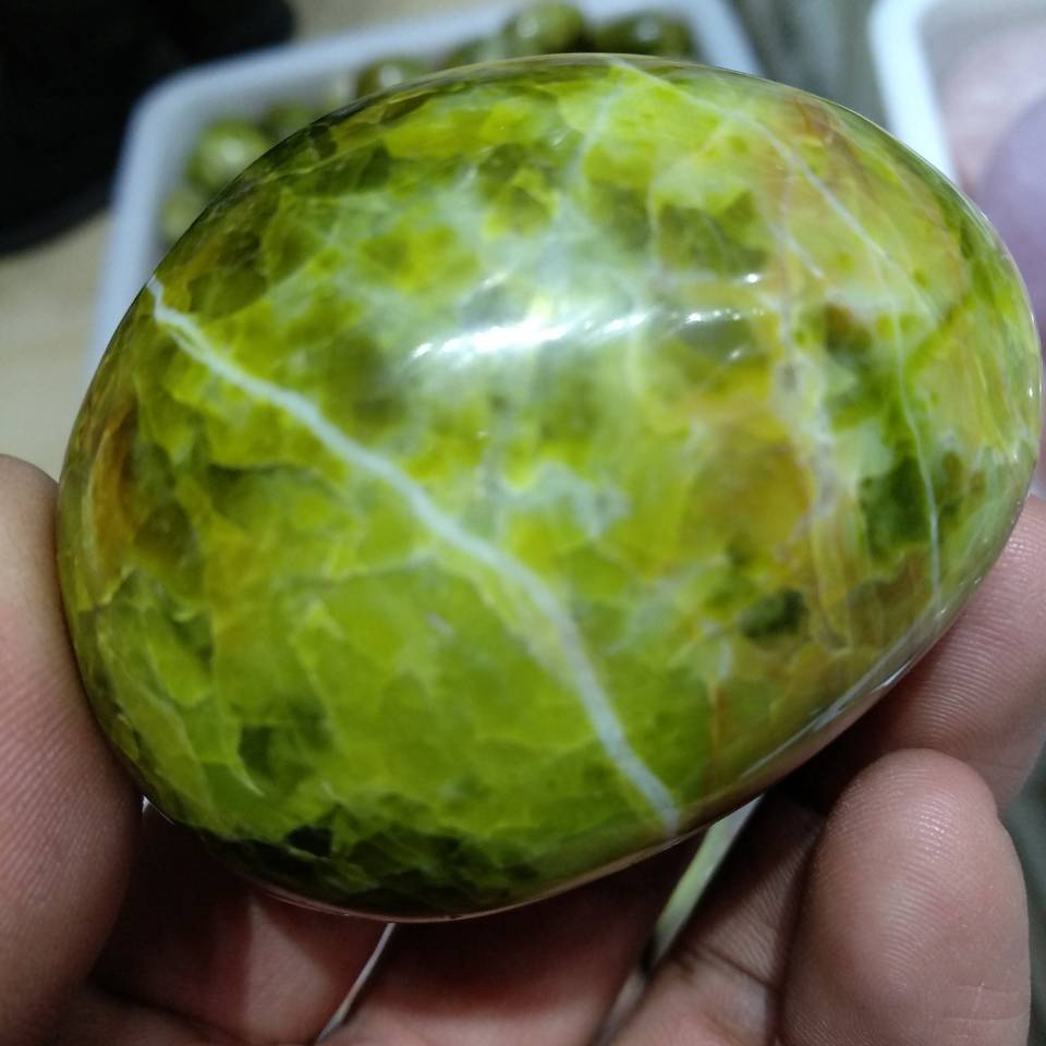 Green Opal Palm Stone Crystal Madagascar