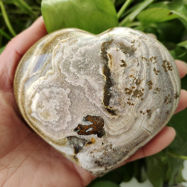Sea Jasper Stone Sea Gem Heart Crystal Stone